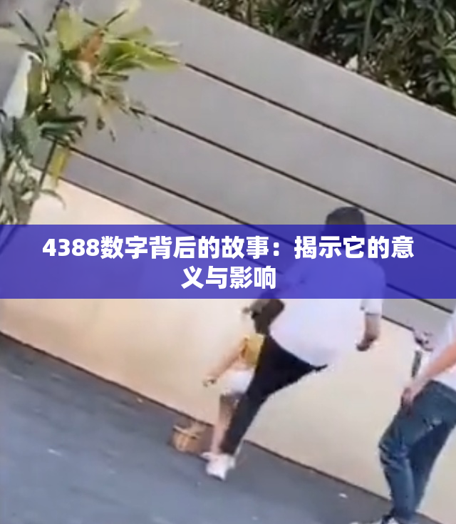 4388数字背后的故事：揭示它的意义与影响