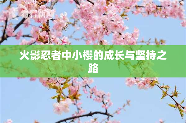火影忍者中小樱的成长与坚持之路