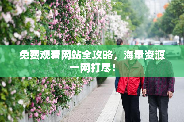 免费观看网站全攻略，海量资源一网打尽！
