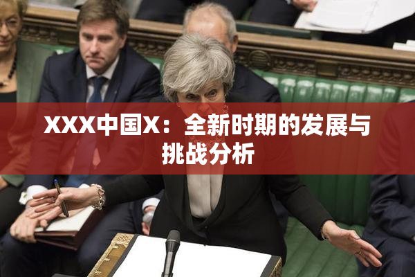 XXX中国X：全新时期的发展与挑战分析