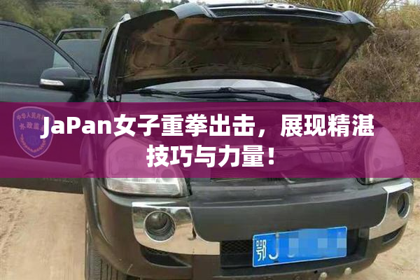 JaPan女子重拳出击，展现精湛技巧与力量！