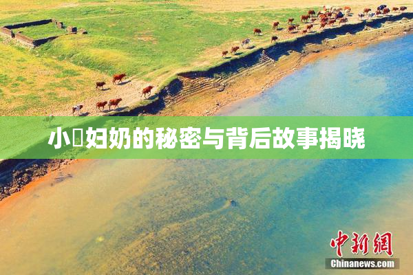 小婬妇奶的秘密与背后故事揭晓