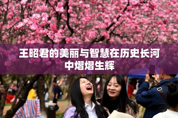 王昭君的美丽与智慧在历史长河中熠熠生辉