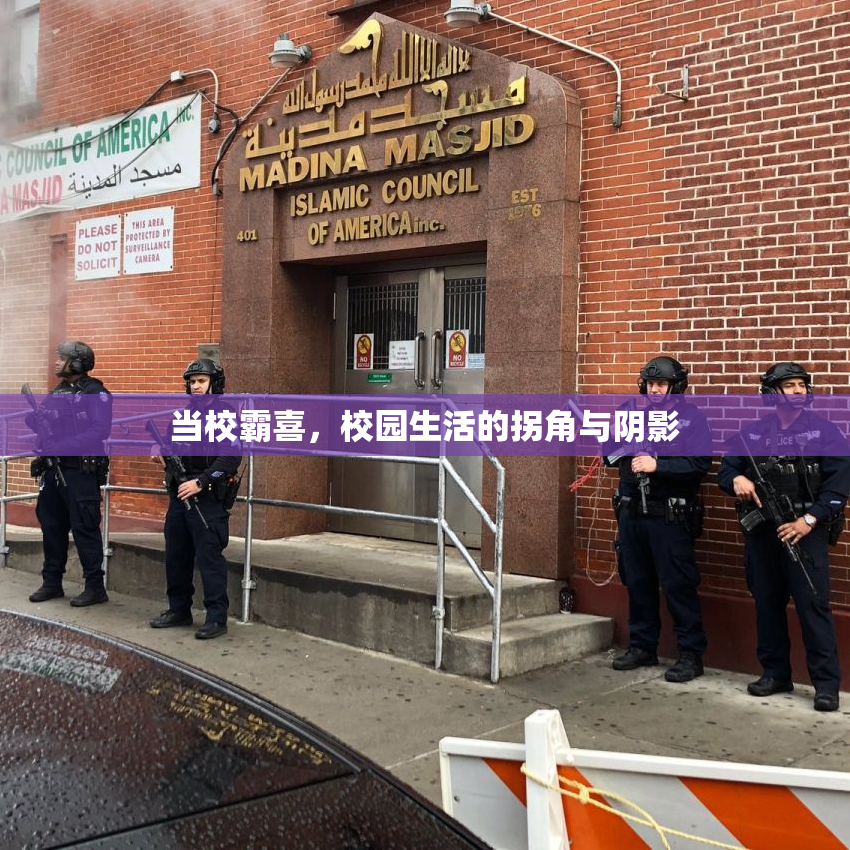 当校霸喜，校园生活的拐角与阴影