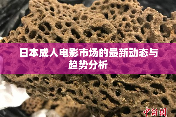 日本成人电影市场的最新动态与趋势分析