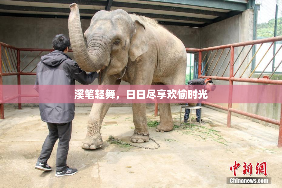 溪笔轻舞，日日尽享欢愉时光