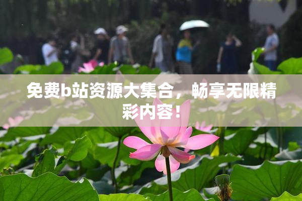免费b站资源大集合，畅享无限精彩内容！