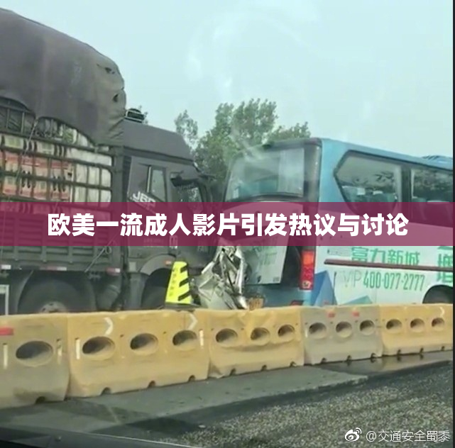 欧美一流成人影片引发热议与讨论