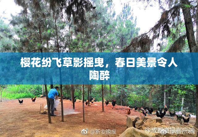 樱花纷飞草影摇曳，春日美景令人陶醉