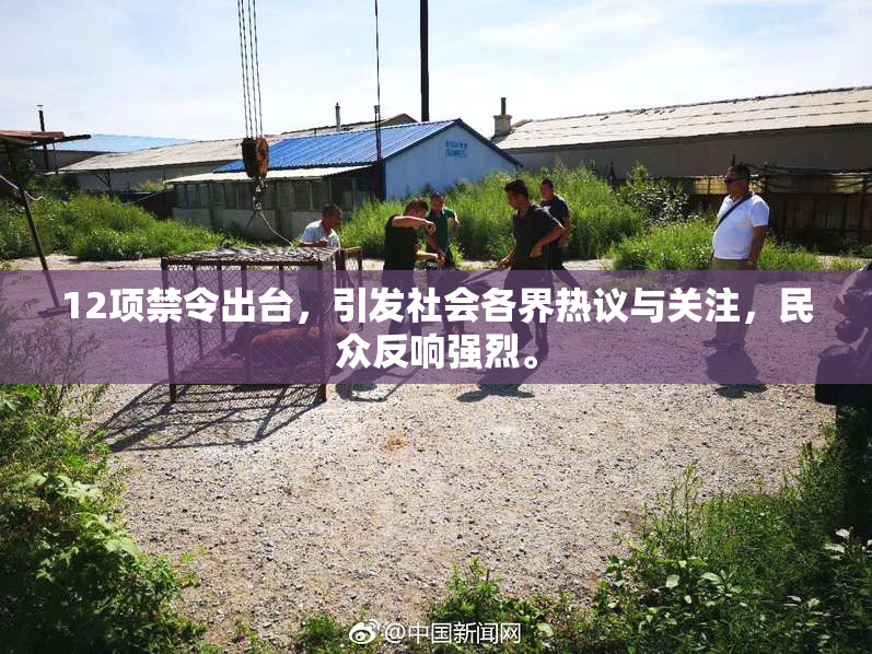 12项禁令出台，引发社会各界热议与关注，民众反响强烈。