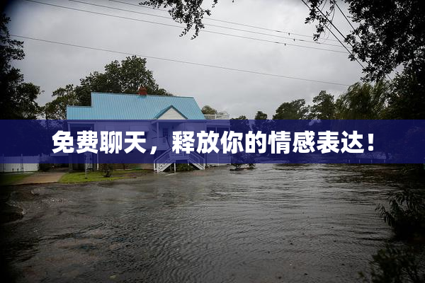 免费聊天，释放你的情感表达！