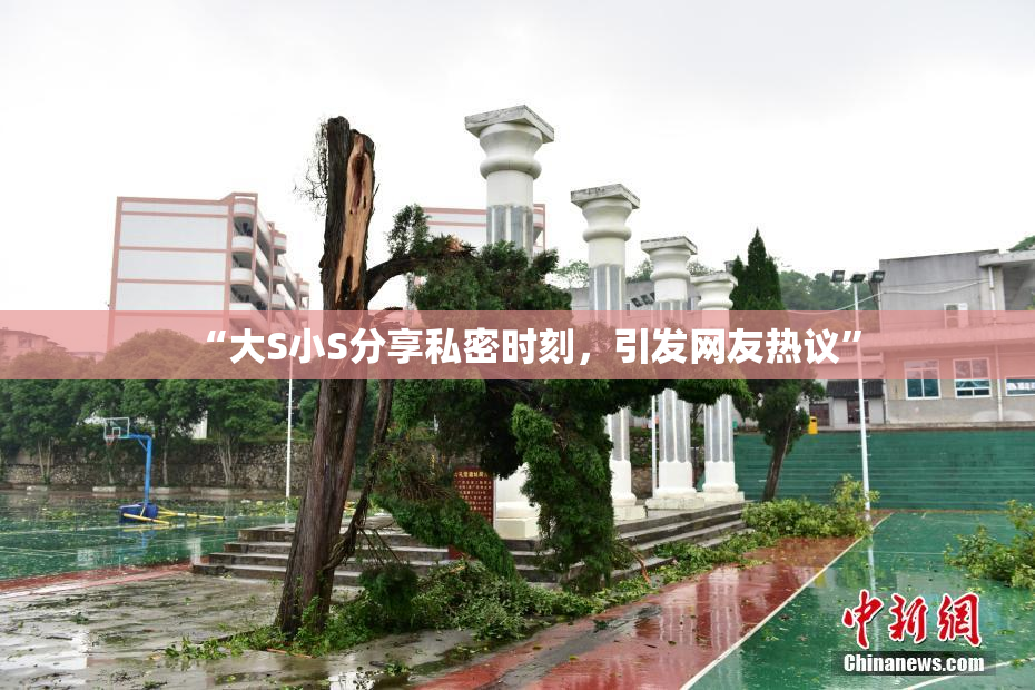 “大S小S分享私密时刻，引发网友热议”