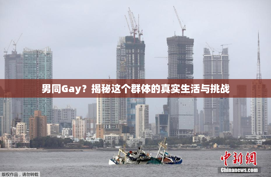 男同Gay？揭秘这个群体的真实生活与挑战