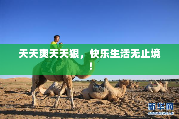 天天爽天天狠，快乐生活无止境！
