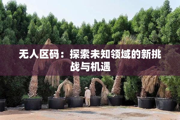 无人区码：探索未知领域的新挑战与机遇