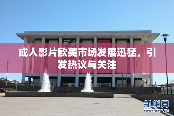 成人影片欧美市场发展迅猛，引发热议与关注