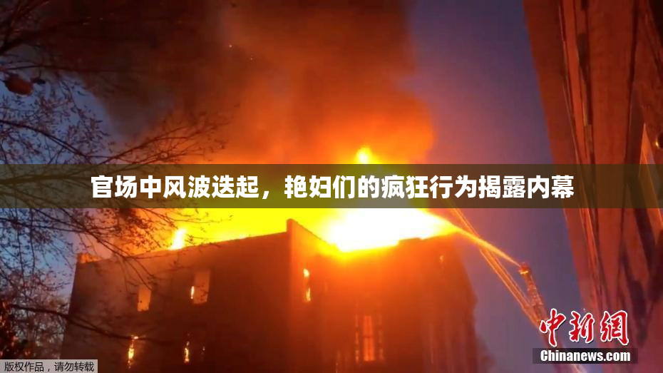 官场中风波迭起，艳妇们的疯狂行为揭露内幕
