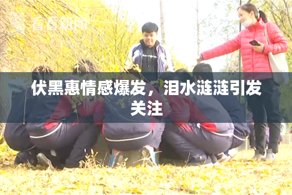 伏黑惠情感爆发，泪水涟涟引发关注