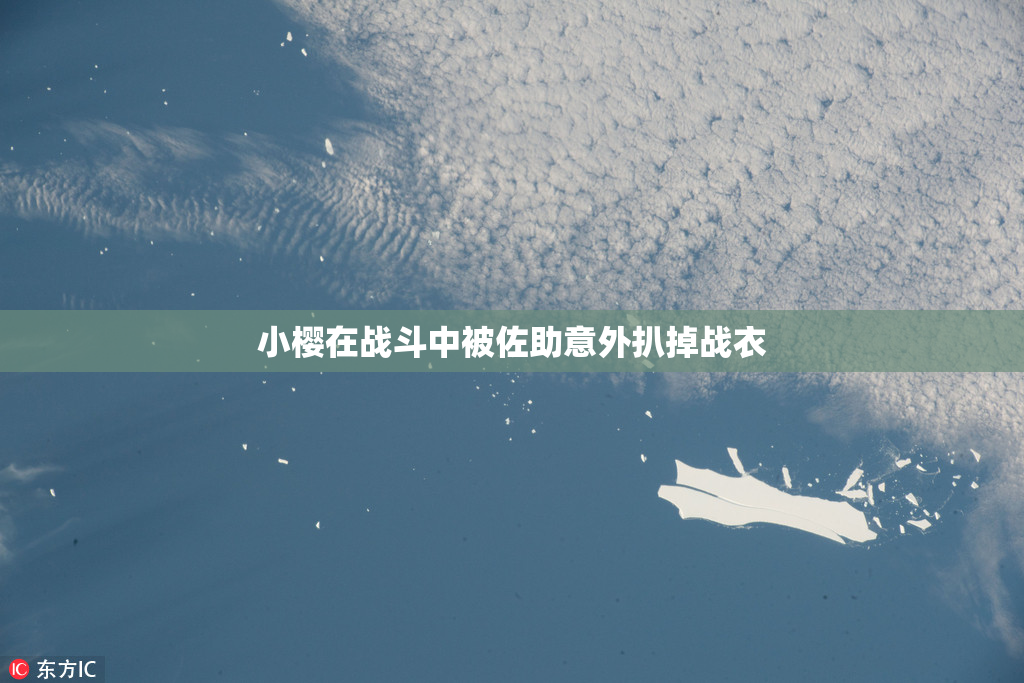 小樱在战斗中被佐助意外扒掉战衣
