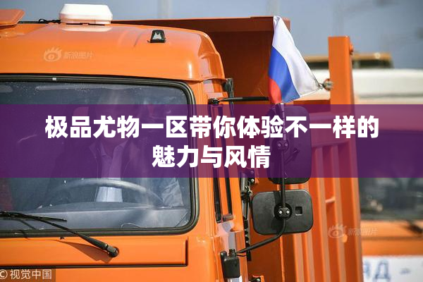 极品尤物一区带你体验不一样的魅力与风情
