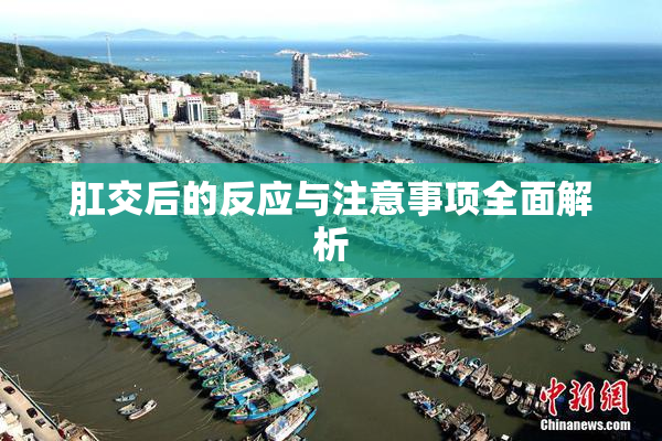 肛交后的反应与注意事项全面解析