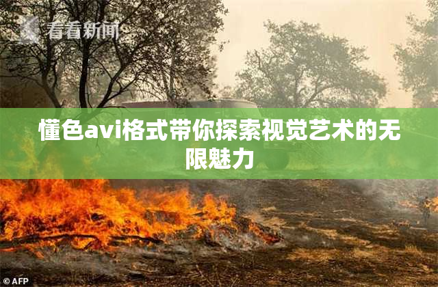 懂色avi格式带你探索视觉艺术的无限魅力