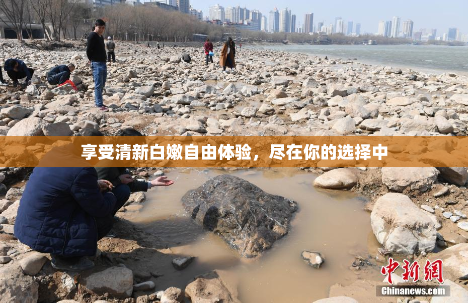 享受清新白嫩自由体验，尽在你的选择中