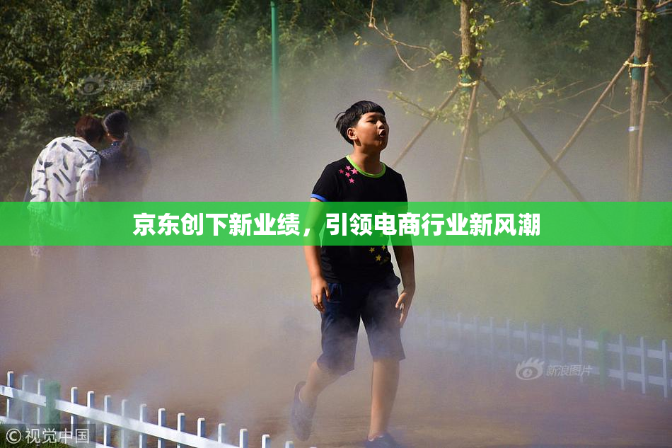 京东创下新业绩，引领电商行业新风潮
