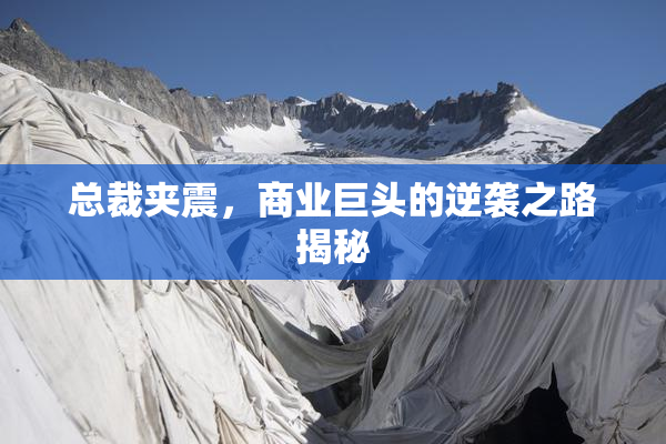 总裁夹震，商业巨头的逆袭之路揭秘