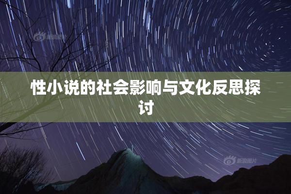 性小说的社会影响与文化反思探讨