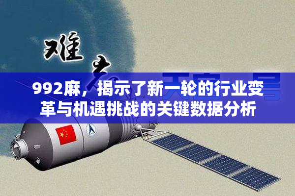 992麻，揭示了新一轮的行业变革与机遇挑战的关键数据分析