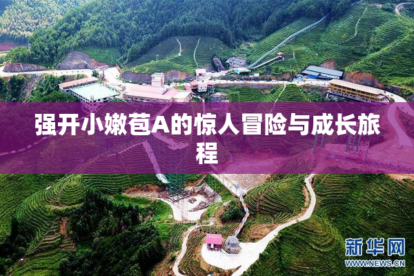 强开小嫩苞A的惊人冒险与成长旅程