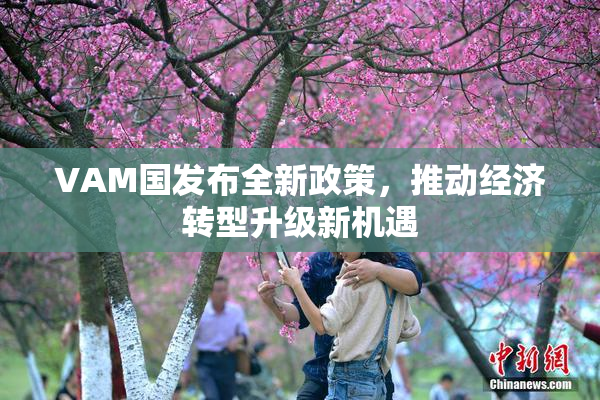 VAM国发布全新政策，推动经济转型升级新机遇