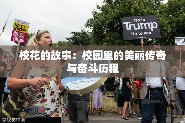 校花的故事：校园里的美丽传奇与奋斗历程