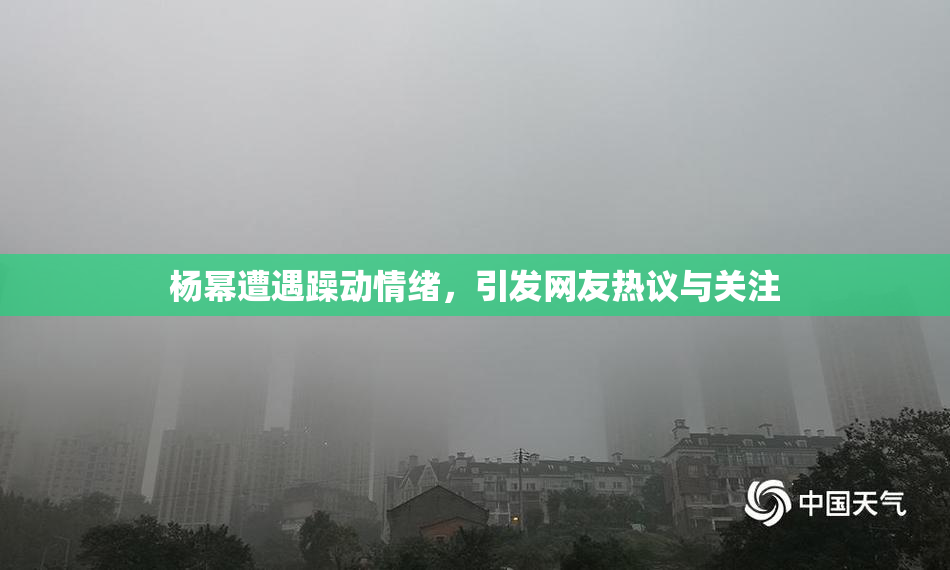 杨幂遭遇躁动情绪，引发网友热议与关注