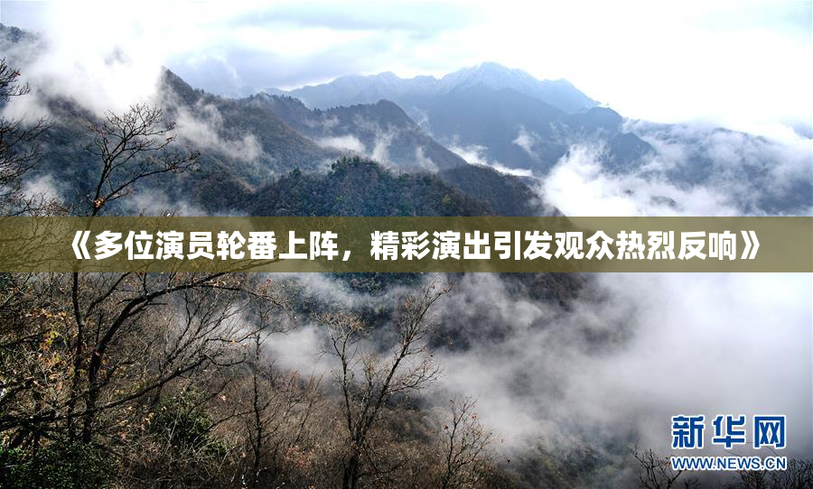 《多位演员轮番上阵，精彩演出引发观众热烈反响》