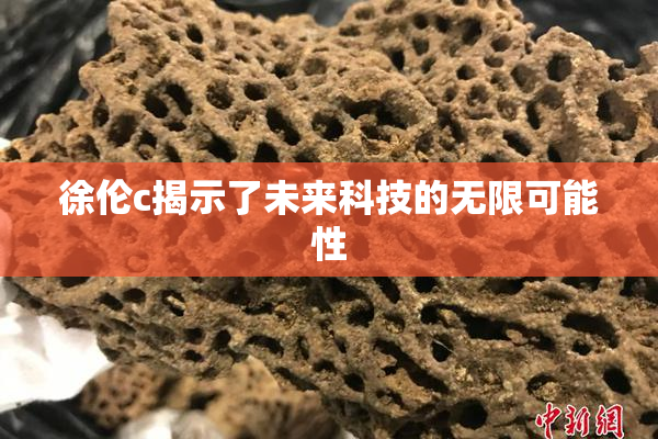 徐伦c揭示了未来科技的无限可能性