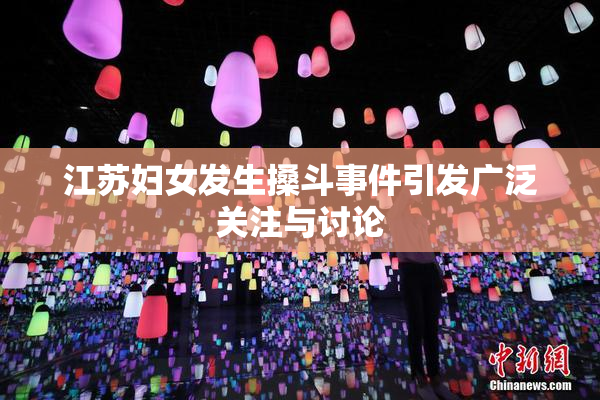 江苏妇女发生搡斗事件引发广泛关注与讨论