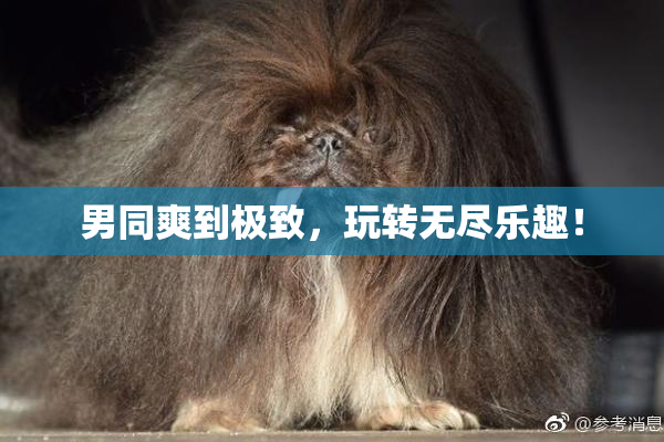 男同爽到极致，玩转无尽乐趣！