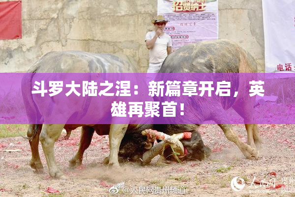 斗罗大陆之涅：新篇章开启，英雄再聚首！