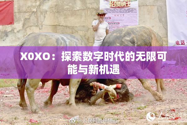 X0XO：探索数字时代的无限可能与新机遇