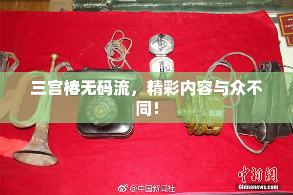 三宫椿无码流，精彩内容与众不同！
