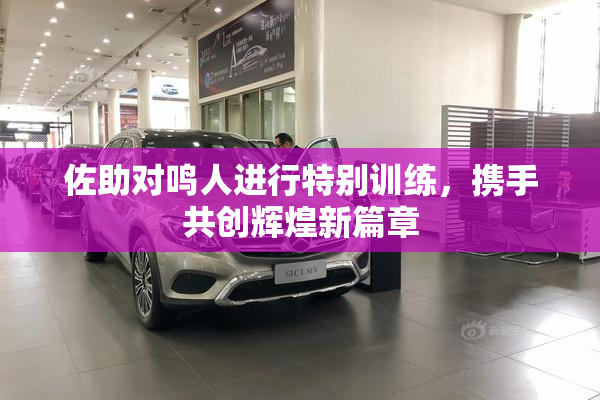 佐助对鸣人进行特别训练，携手共创辉煌新篇章