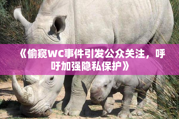 《偷窥WC事件引发公众关注，呼吁加强隐私保护》