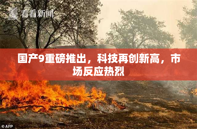 国产9重磅推出，科技再创新高，市场反应热烈