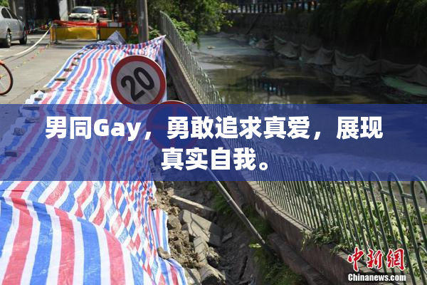 男同Gay，勇敢追求真爱，展现真实自我。