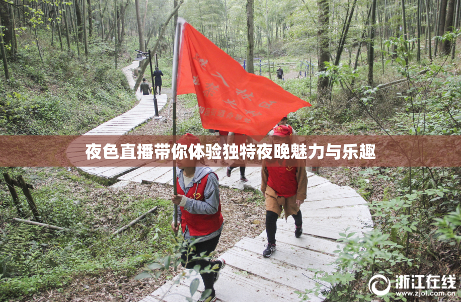 夜色直播带你体验独特夜晚魅力与乐趣