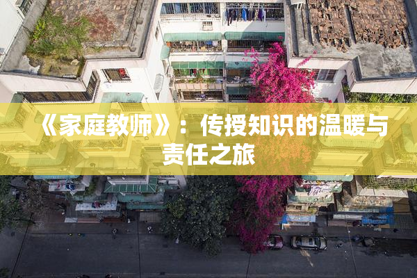 《家庭教师》：传授知识的温暖与责任之旅