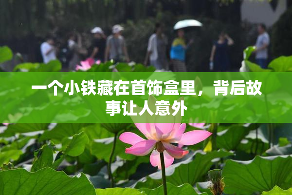 一个小铁藏在首饰盒里，背后故事让人意外