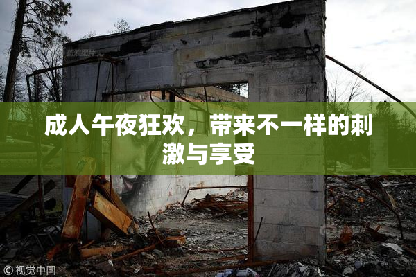 成人午夜狂欢，带来不一样的刺激与享受